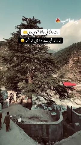تہ راتہ خیرے کوا چی خہ شمہ 😖#tiktokteamdontunderreviewmyvide #creatorsearchinsights #fyp