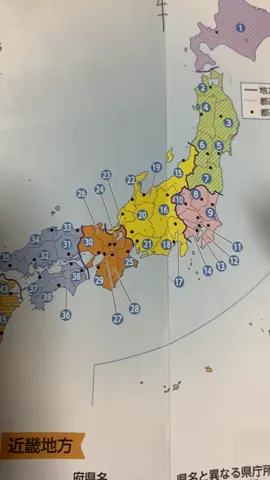 従兄弟に問題出したらアホすぎた#いとこ#都道府県クイズ