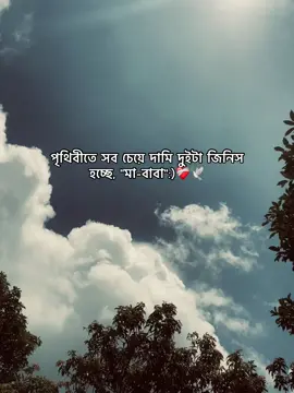 পৃথিবীতে সব চেয়ে দামি দুইটা জিনিস হচ্ছে, 