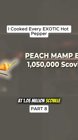 #tiktokrecipecontest #cook #cooking #challenge #cookingtiktok 