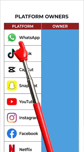 FLATFORM OWNERS  #flatform #awner #tiktok #quiz #viralvideo 