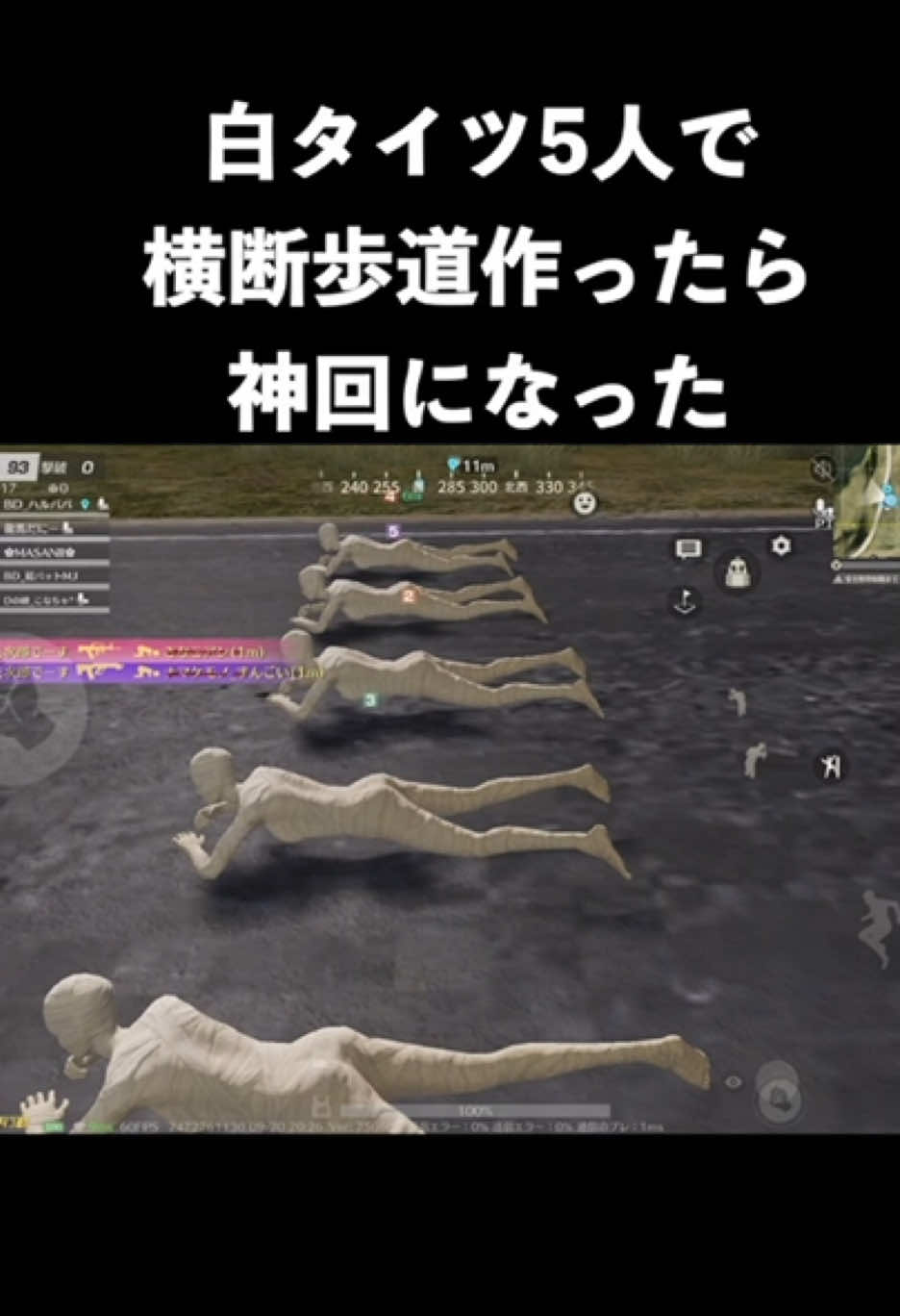 白タイツ5人で横断歩道作ったら神回になった　#荒野行動 