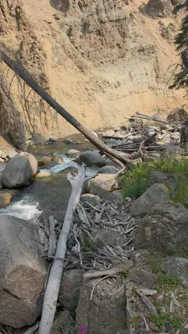 Yellowstone national park Tower falls