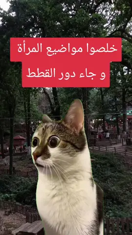 #Meme #MemeCut #CapCut 