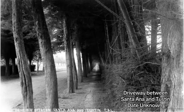 #santaana #tustin #driveway #unknown 
