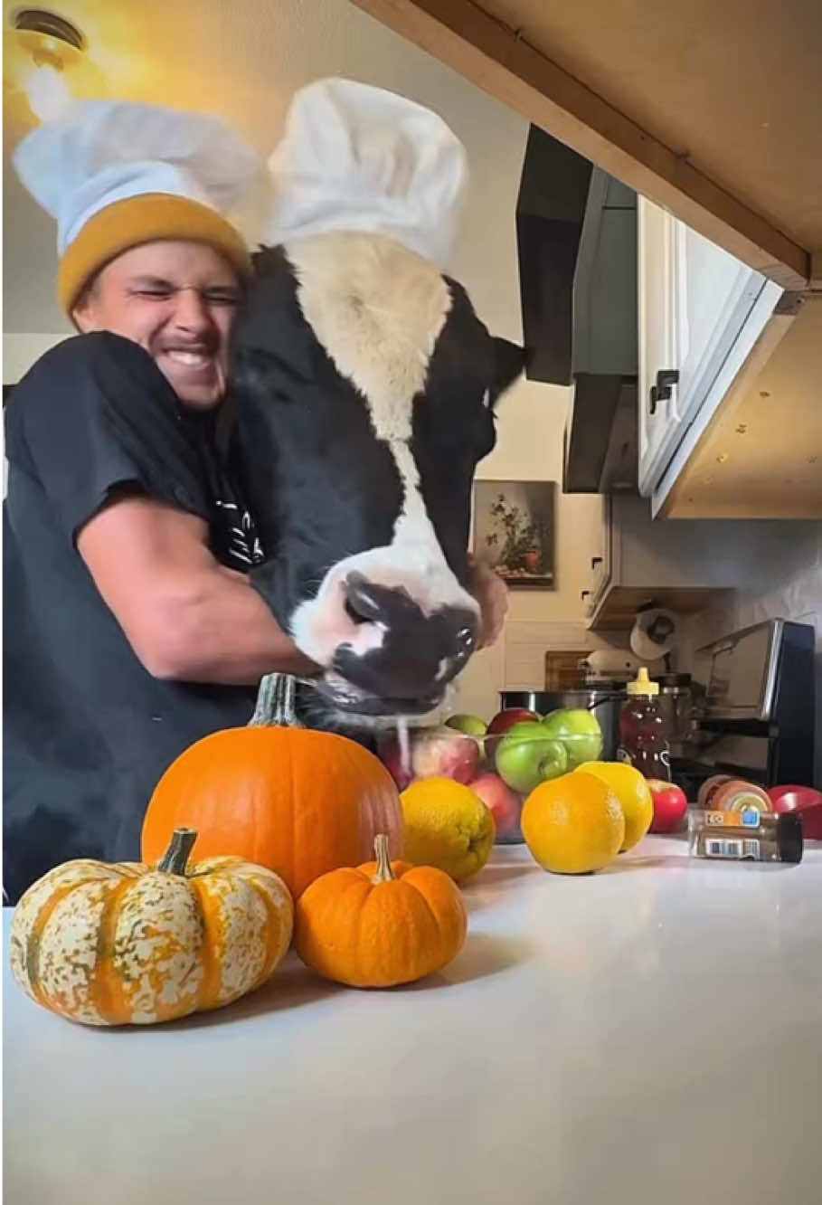 Trying making pumpkin drink with Bruce #cow #brucethecow #farm #snack #animals 