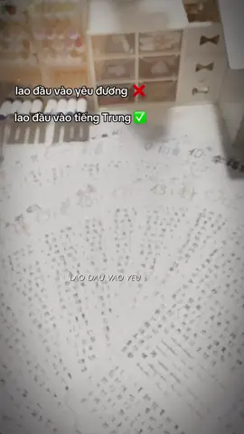 😭 #tiengtrung #hoctiengtrung #viral #fyp #xhtiktok 