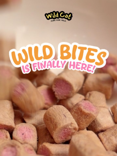 YOU’VE SEEN THE CLUES. YOU’VE WAITED FOR THE REVEAL. ✨ Now the secret is finally out… MEET WILD BITES😻 A crunchy outer layer with a functional core filling made with real meat and functional ingredients. THE WAIT IS OVER. THE CRUNCH IS JUST BEGINNING. #wildcatph #purreverycats #wildbites  #productreveal #functionaltreats