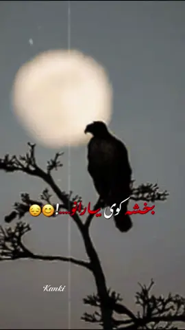 #CapCut Hu sir 🤚☝️#تمپلیت_جدید هو قربان ❤️‍🩹💯#تمپلیت_جدید #رپ_پشتو #creatorsearchinsights @oo__3salar_afg 