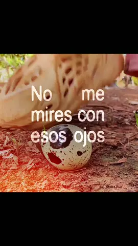 🥺😭