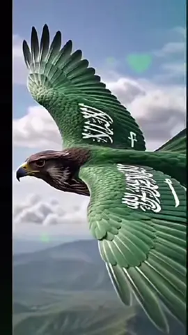 #السعودية🇸🇦 #اليوم_الوطني💚2026