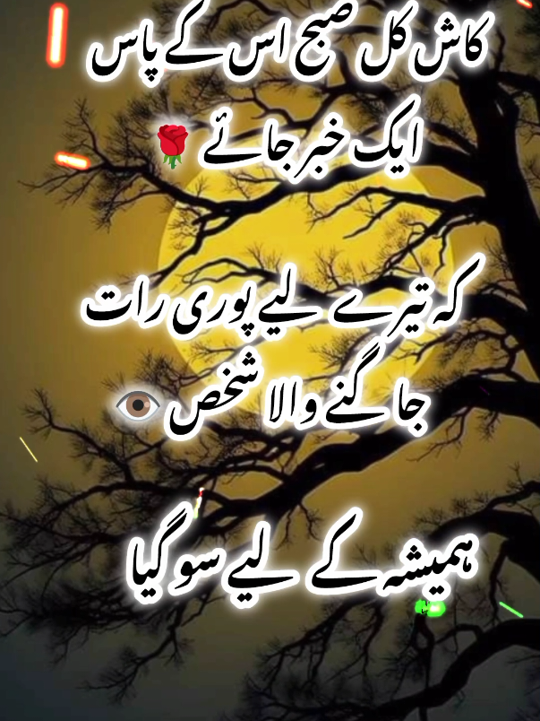 کاش کل صبح اس کے پاس ایک خبر جائے،|#Urdupoetry #fypviralシ #pleasegrpwmyaccount😭😭🙏🙏🙏🙏 #swrites498 