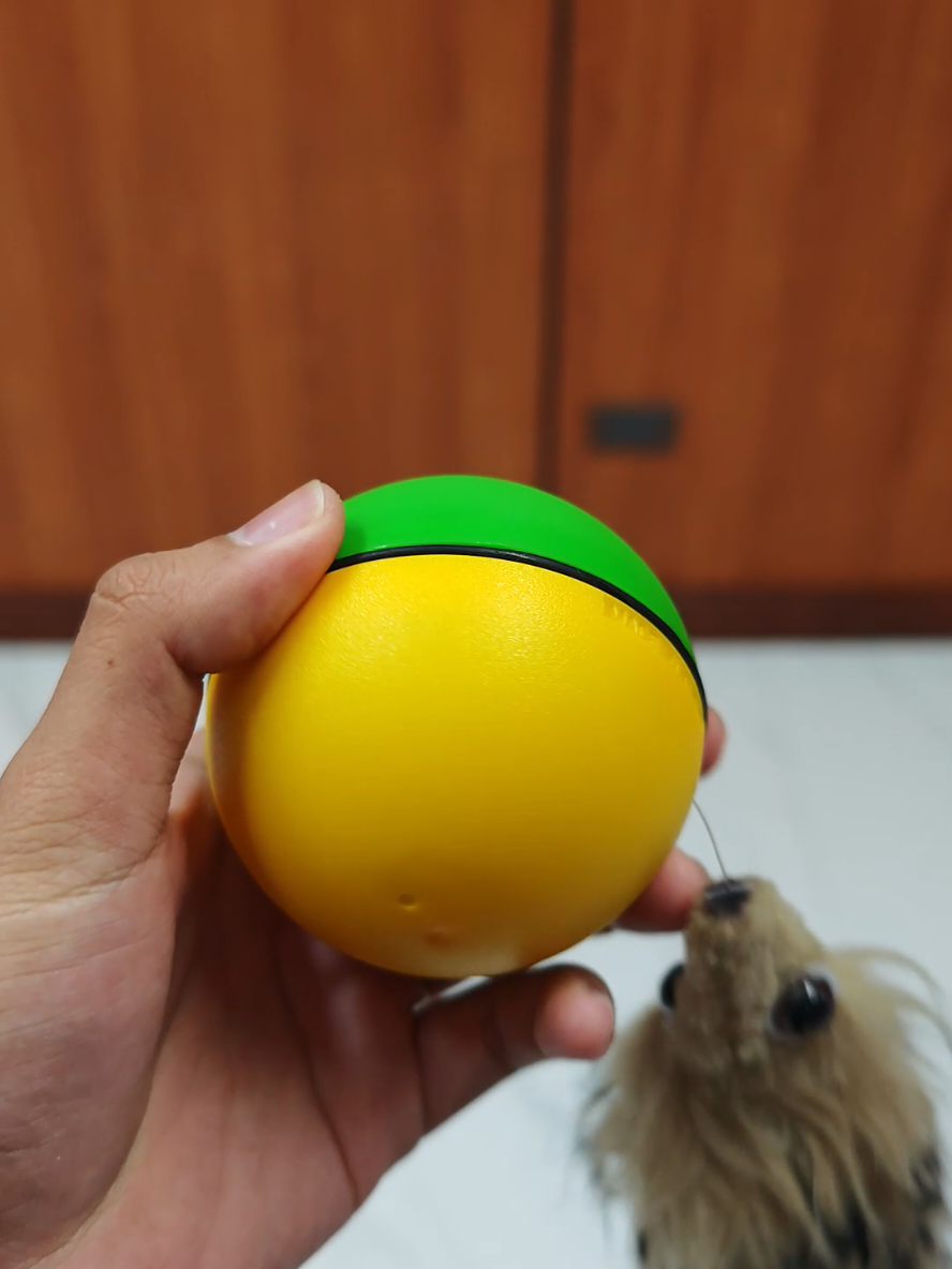 Cuando el juguete eléctrico se vuelve la sensación del día 🤣✨  #kidssafety #viral #pelota #fyp #toygifts 