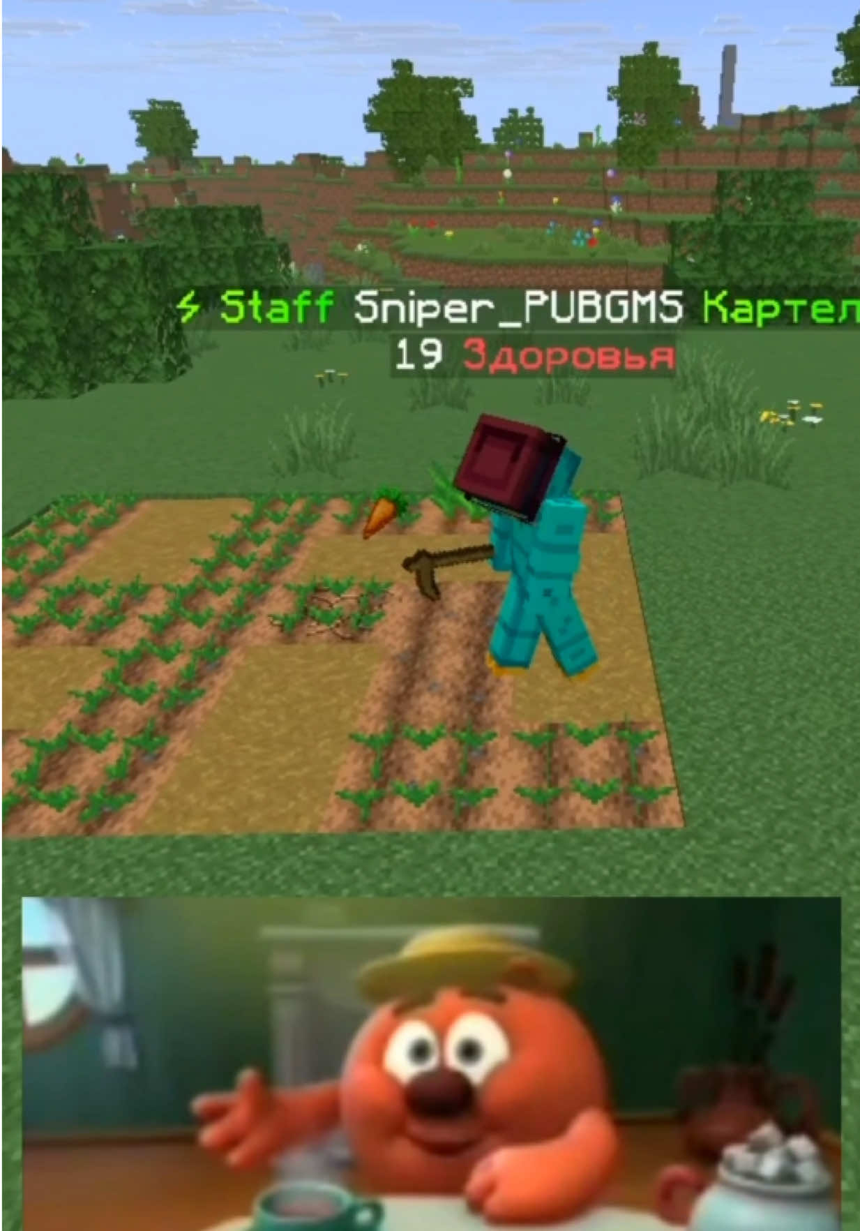 айпи: tt.funtime.su #funtime #читеры #модератор #Minecraft #фантайм 