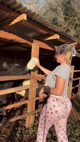 #villagecooking #villagelife #nomadlife #nomadiclife #for