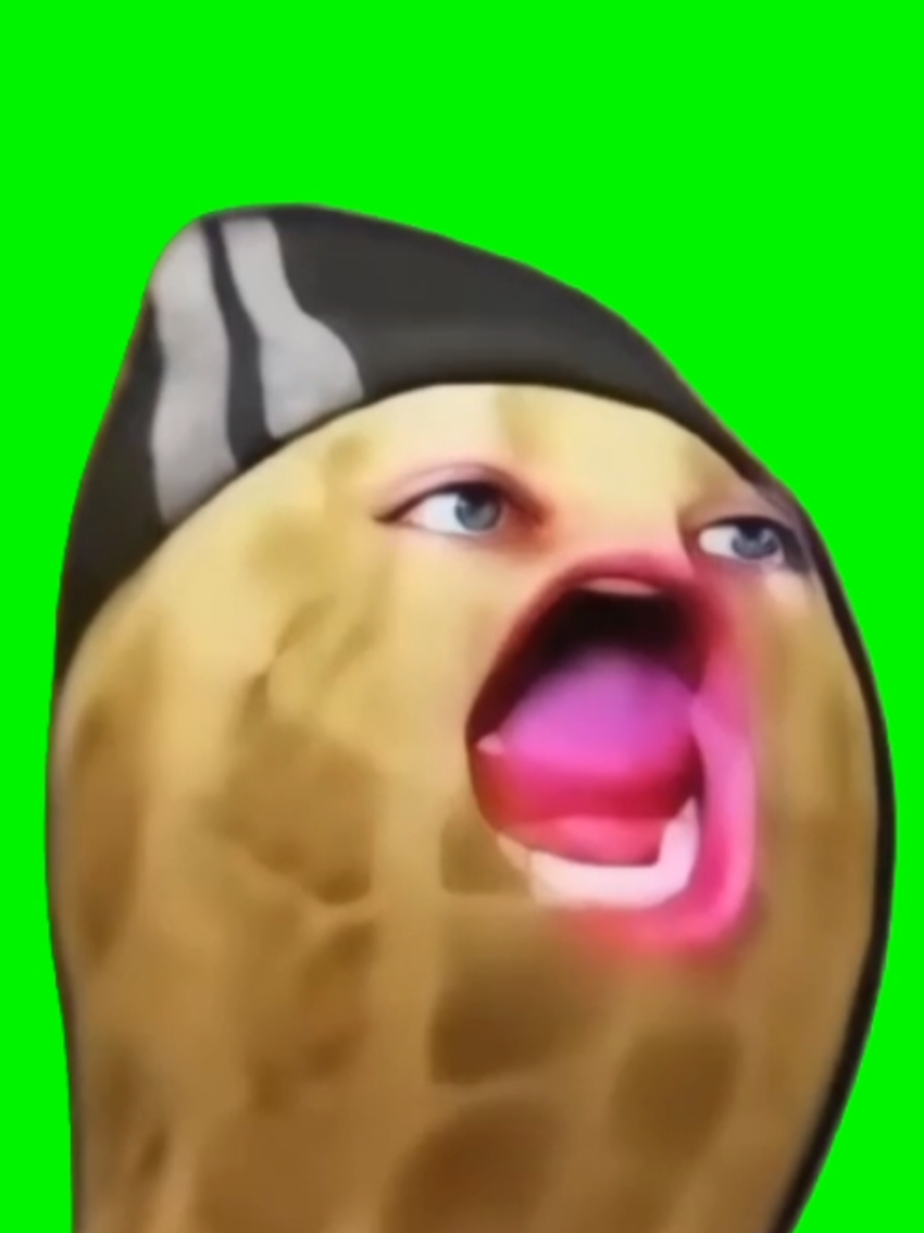 The iconic Burnt Peanut character passionately belts out a pop anthem in this hilarious crash out green screen cutout, credited to @peanutunfiltered and @theburntpeanut. Packed with unhinged singing energy, chaotic karaoke vibes, and peak drama, this dramatic peanut reaction is perfect for relatable breakdowns, late-night brain thoughts, and funny karaoke memes. Use this CapCut template to overlay the singing peanut into your own custom scenes, express your inner dramatic mood, or feature it in your next viral post. #capcut #capcutpioneer #pioneertemplate #burntpeanut #crashoutmeme    