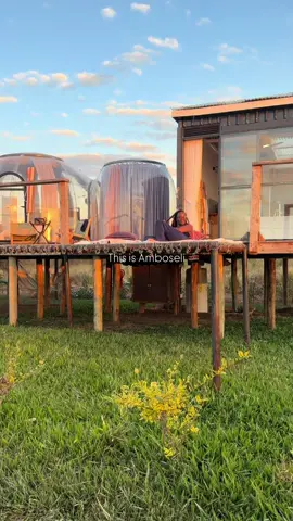 POV : You  just found a gem that everyone needs to experience! This is Nanare Chalets in Amboseli.  Reach out to us 👇🏽 ☎️ - +254705465180 📧 - info@elansafaris.com 🌎 - elansafaris.com  #magicalkenya #luxury #nanare 