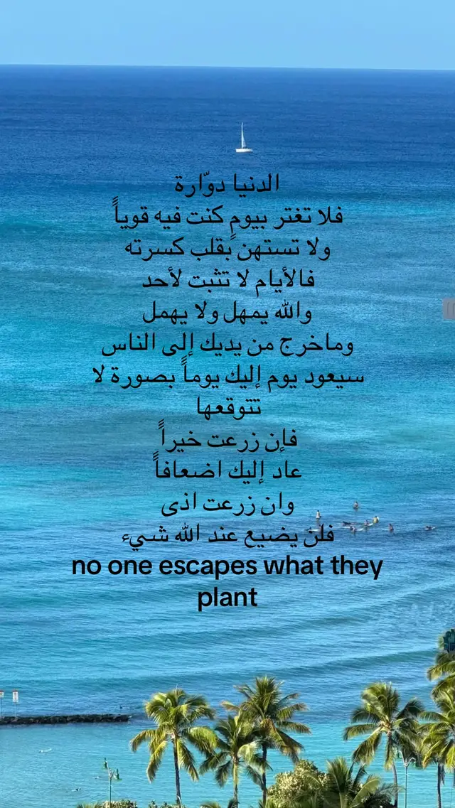 (الدنيا دواره)#request #explore #foryou 