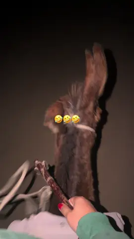 #рекомендации #ысыккол #🤣🤣 