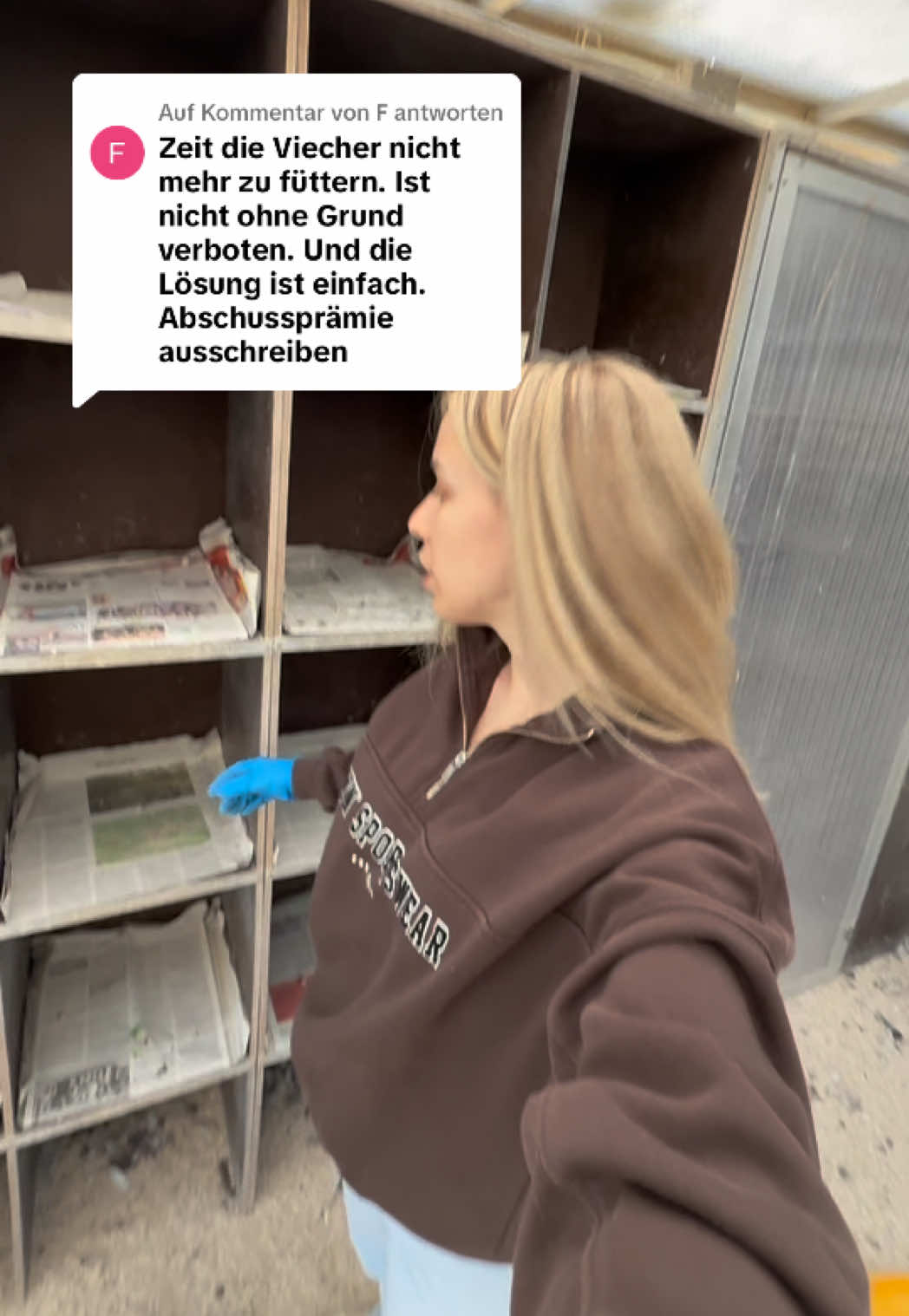 Antwort auf @F Was passiert eigentlich in einem betreuten Taubenschlag? 🕊️ Zuerst wird gefüttert, drinnen und mit einem extra Eimer draußen, damit die Tauben kurz abgelenkt sind. Dazu gibt es Grit, weil Tauben Körnerfresser sind und die Steinchen ihnen helfen, die harten Körner zu zermahlen. Dann werden die Wasserbehälter drinnen und draußen aufgefüllt. In unserer kleinen Quarantäne gewöhnen sich genesene Tauben erst mal an den Schlag. In den Brutnischen tauschen wir die schmutzigen Zeitungen gegen frische aus und die Eier gegen Attrappen, damit die Population tierschutzgerecht kleiner wird. Füttern auf der Straße ist in vielen Städten verboten, und genau deshalb gibt es betreute Taubenschläge. Falls ihr mal eine kranke oder verletzte Taube findet, sammelt sie gerne ein und meldet euch bei einer Taubenhilfe in eurer Nähe. #stadttauben #tierschutz #taubenschlag #taubenhilfe #tierheim 