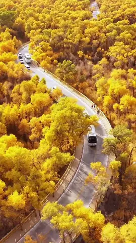 #风景#