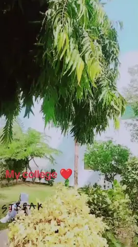 Concordia college ellahbad girl cumpus🥰🥰🥰🥰🥰🥰🥰🥰🥰🥰🥰🥰