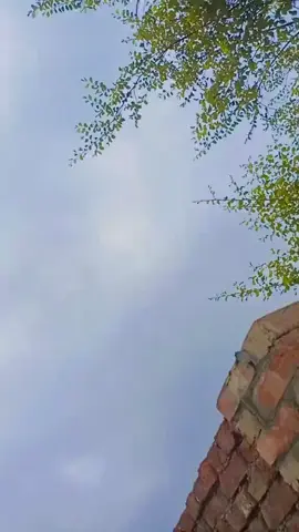 #foryoupage❤️❤️ #foryoupagethis #viral_video @𝐂𝐮𝐭𝐞 𝐬𝐚𝐧𝐚 @islamabad.queen1 @khanikhan1431 