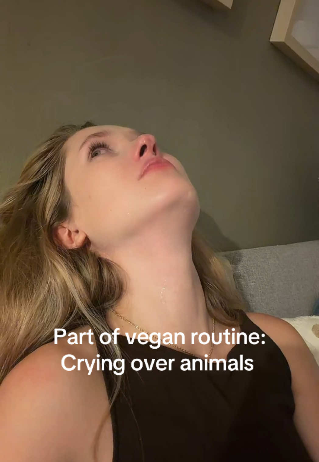 #govegan #vegan #fyp #vegantiktok 