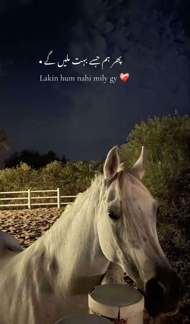 پھر ہم جیسے بہت ملیں گے  Lakin hum nahi mily gy 😒🤧