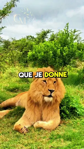 La seule chose que je donne à ceux qui me provoquent c’est mon silence.              #conseil #motivation #mindsetmotivation #sagesse #mindset 