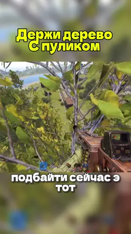 Часть 7#раст #держидверь #кава #боб3 #rust 