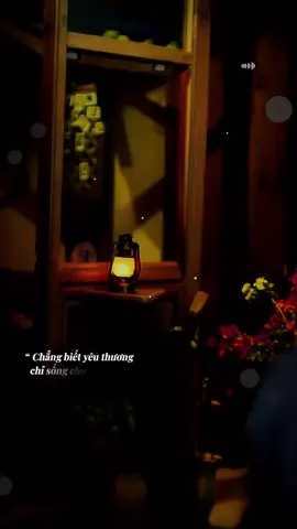 Tôi là vậy đó… #toilavaydo  #nhacbuontamtrang  #tramcamxuc💔  #maucapcut  #gocphoamnhac1991 