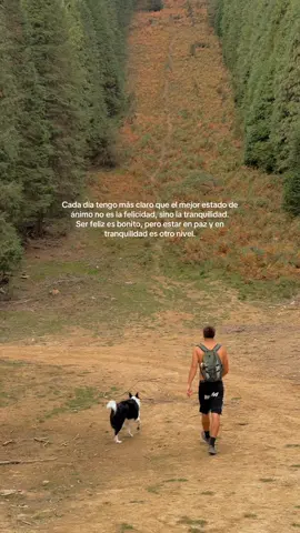 🌲/ IG:@asieririsarri #mentalidad #jovenes #dopamine #felicidad #naturaleza 
