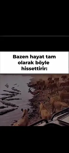 çıxılmaz vəziyət #keşfet 