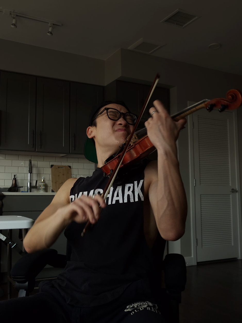 heart attack - demi lovato #fyp #violin #heartattack #demilovato 