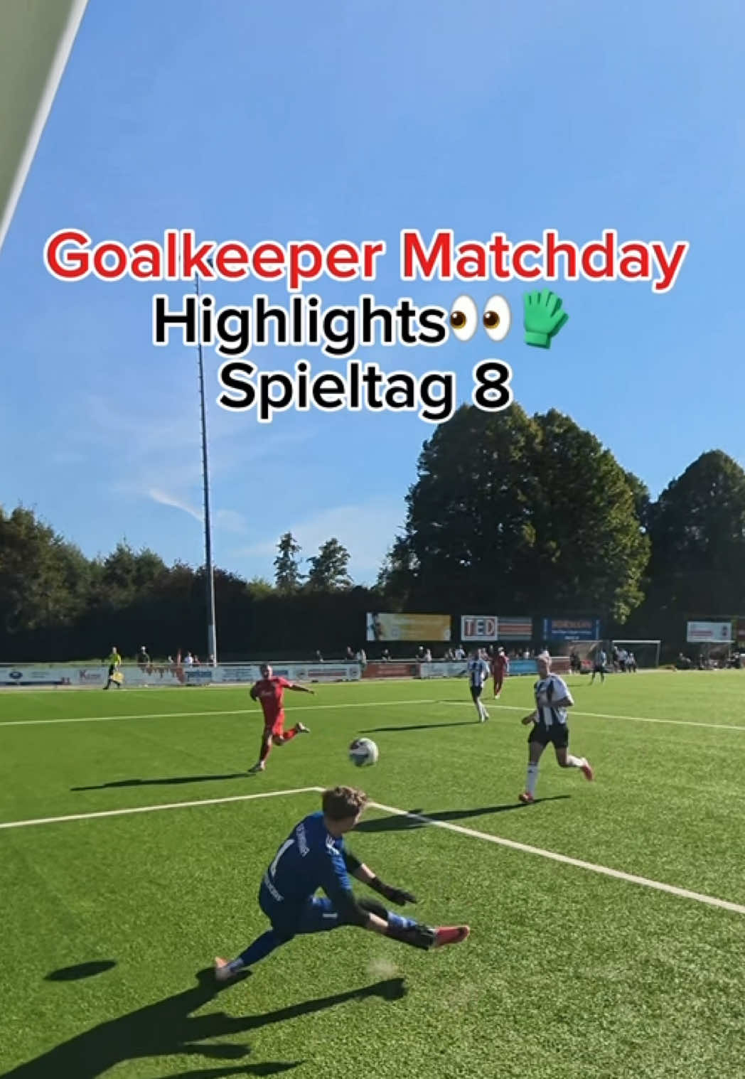 Goalkeeper Matchday Highlights Spieltag 8🤩🤞🏽🧤 #goalkeeper #football #viral #torwart #fußball 