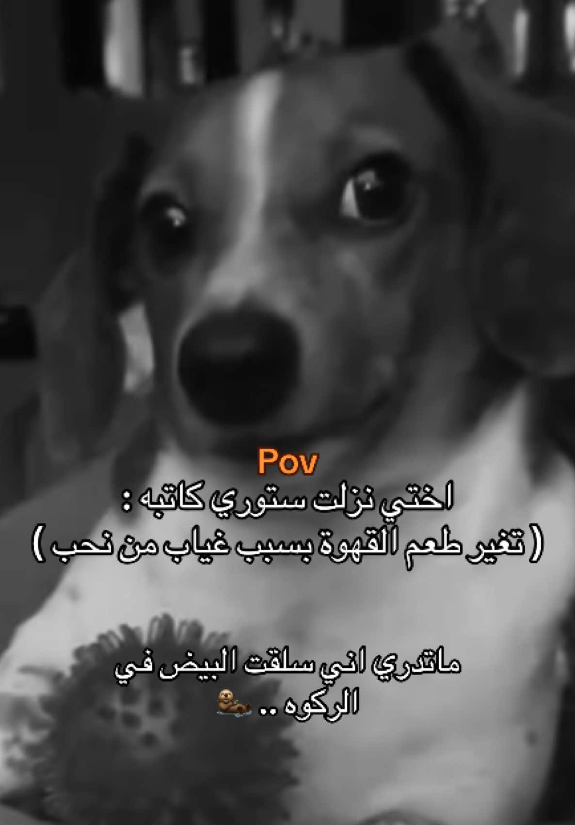 .. 🏃🏻‍♀️ #اكسبلورexplore #السعودية🇸🇦 