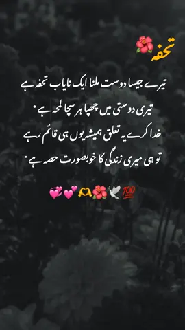 تیرے جیسا دوست ملنا ایک نایاب تحفہ ہے 💯💝 #urdushayri #urdupoetry #poetrylover #viewproblem #foryoupage 