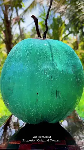 This Coconut 🥥 made me Curious #Coconut #fruit #asmr 