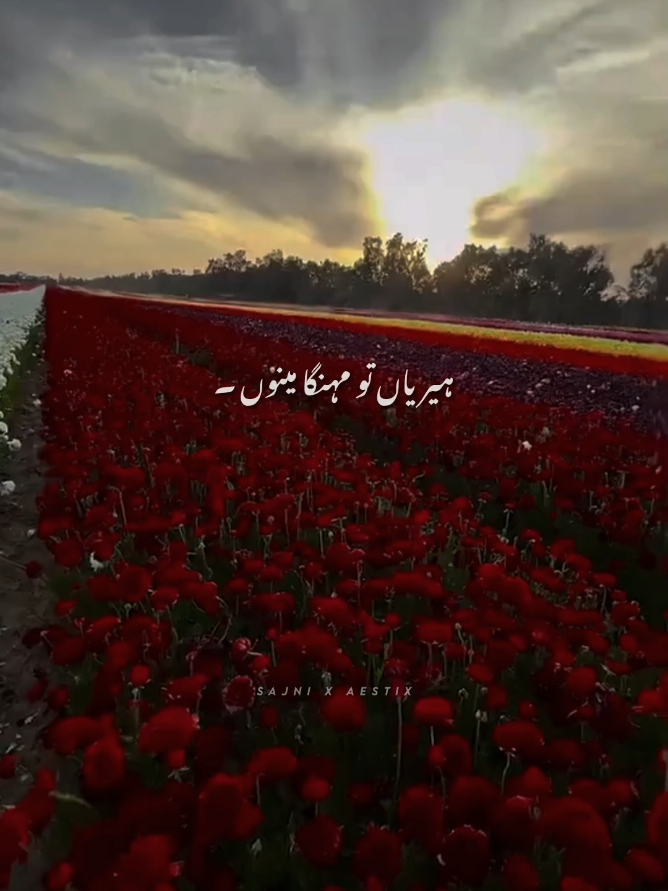 𝙃𝙀𝙍𝙄𝙔𝘼 𝙏𝙐 𝙈𝙀𝙃𝙉𝙂𝘼 𝙈𝘼𝙄𝙉𝙐 🫵🤍🫂 #asthetic #lyrics_songs #punjabisong #foryoupage 