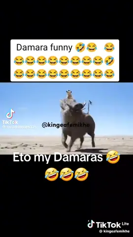 🤣🤣🤣