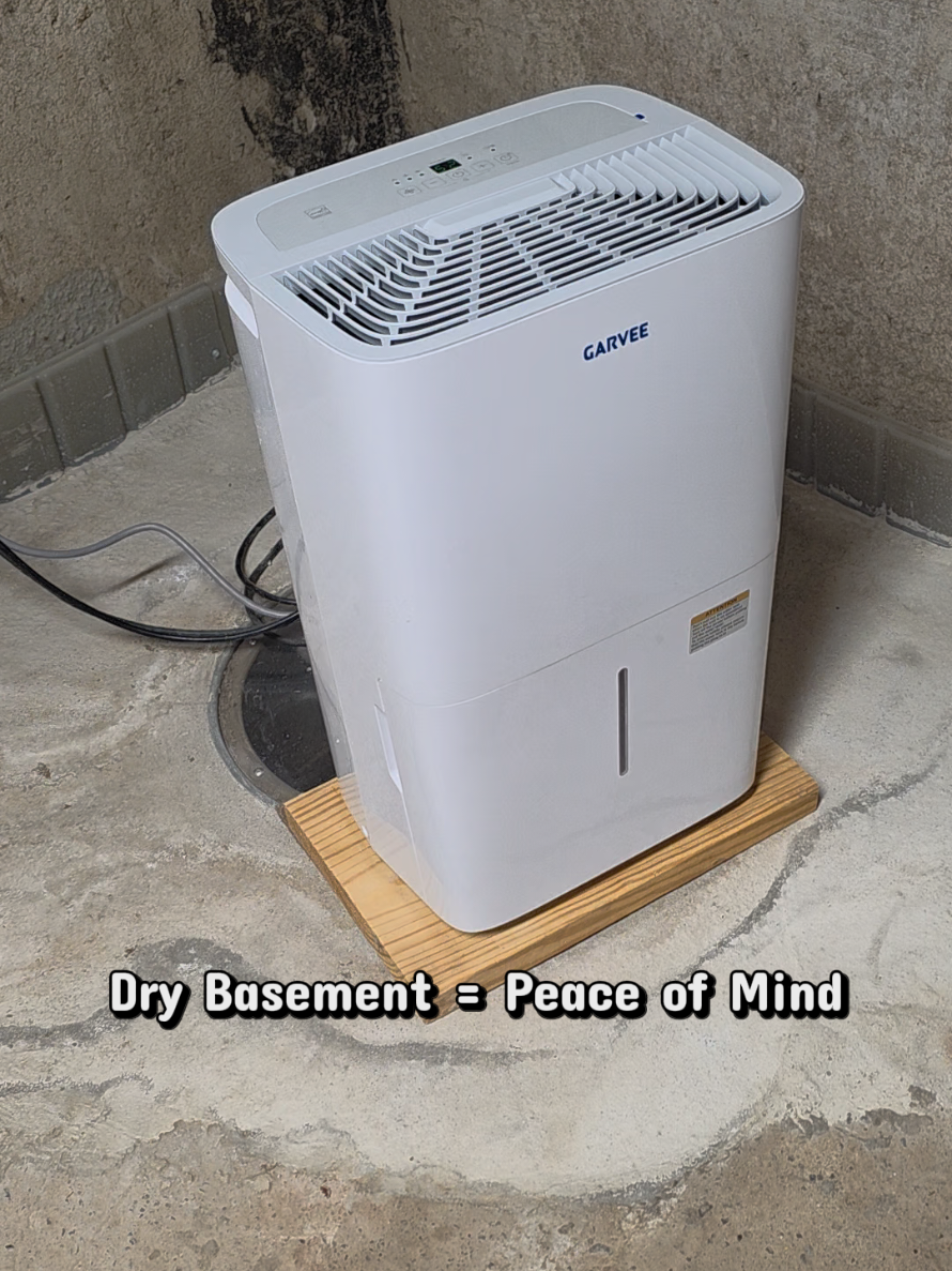 This really gets the air moving and the moisture under control #garvee #dehumidifier #moisture #basement #tiktokshop 