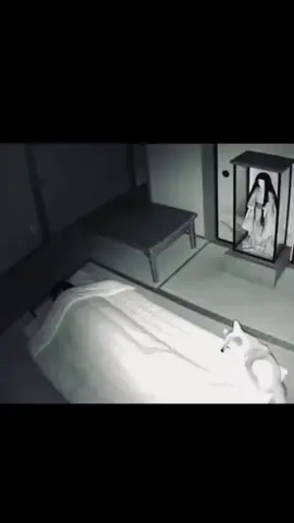 Videos paranormales con musica (ramdon) pt001 #videoviral #videosparanormales #humor #music #parati 