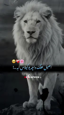 #CapCut اصیل حلک داچه یوکیلاس ابه #foryou#foryoupage#viralvedio#growmyaccount
