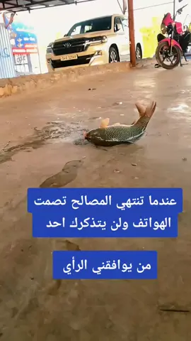 #capcut #اعادة_النشر🔃 #لايك #fyp #الشعب_الصيني_ماله_حل😂😂 