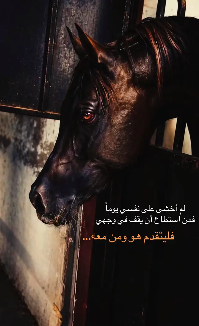 #اذكروا_الله #خيل_وخياله🐎 #الخيول_عشق_لاينتهي #الخيل_من_خيالها #خيل 