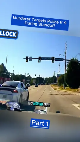 Murderer Targets Police K-9 During Standoff-1 #PoliceK9 #PoliceTok #Cops #TrueCrime #PoliceStandoff 