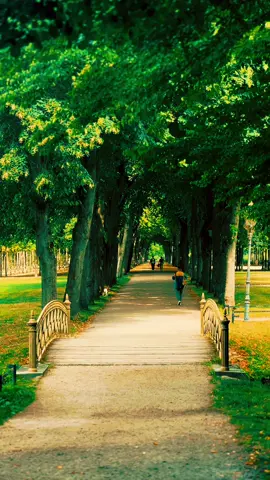 Enchanted Morning Walk Through the Green Trees 🌳✨   A peaceful stroll along this lush green pathway and its charming wooden bridge. 🌿 Drop a comment if you would love to take a morning walk here today! 👇   #morningwalk  #naturelovers  #parkscenery  #peacefulmoments  #scenery    Like and comment to support this visual sanctuary! 💬  