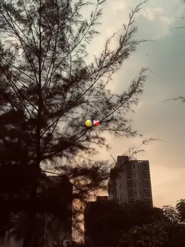 😅❤️‍🩹#foryou #foryoupage #viralvideo #trending #tiktok @For You @TikTok 