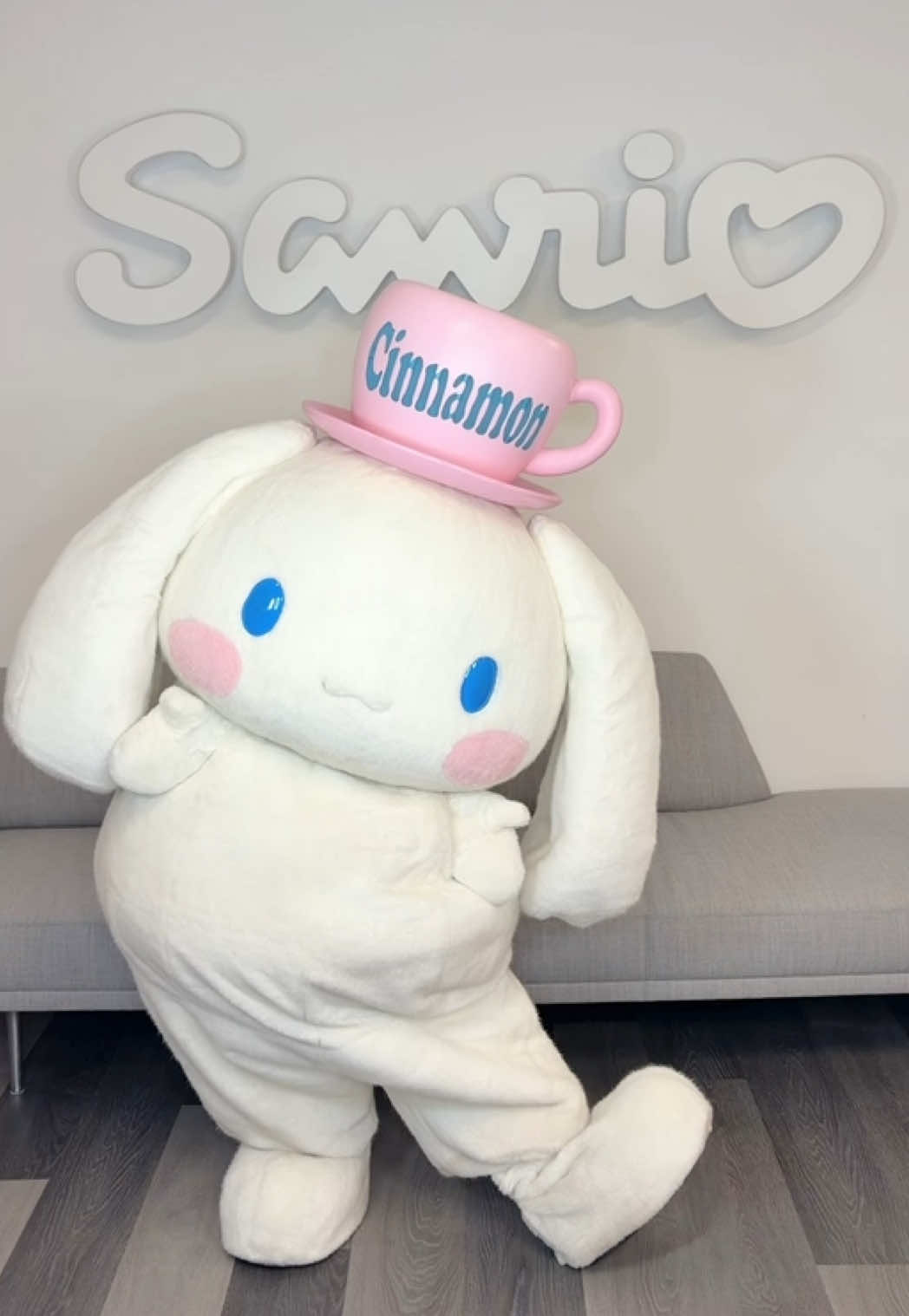 New form unlocked 💙☁️ #cinnamoroll #sanrio